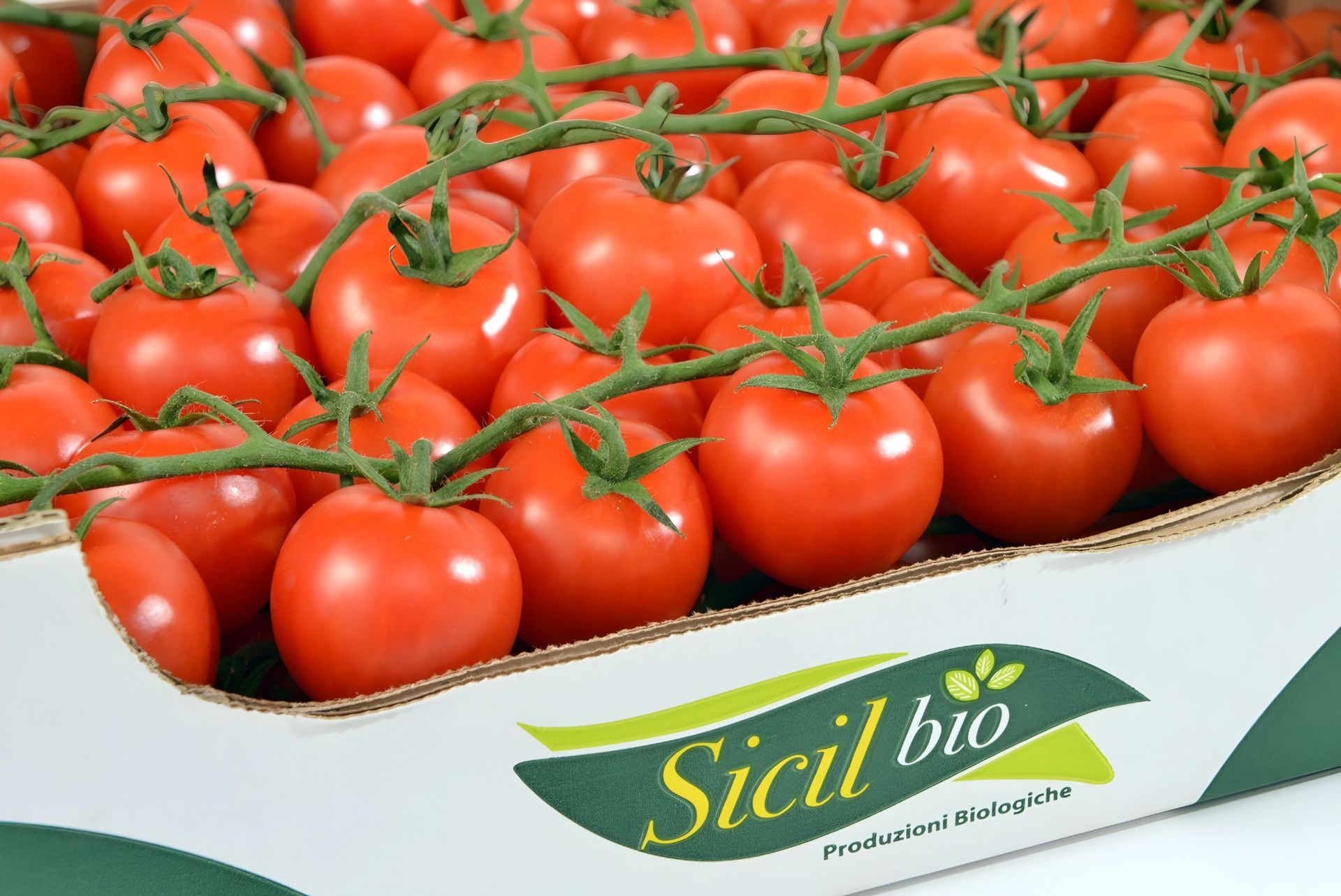 Cassetta di pomodori ciliegino Sicilbio